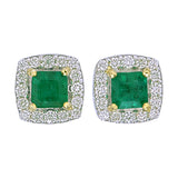 Square Cut Emerald & Diamond Halo Stud Earrings – Custom Fine Jewelry | 9kt–18kt Gold Manufacturing