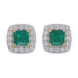Square Cut Emerald & Diamond Halo Stud Earrings – Custom Fine Jewelry | 9kt–18kt Gold Manufacturing